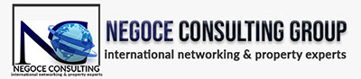 Negoce consulting